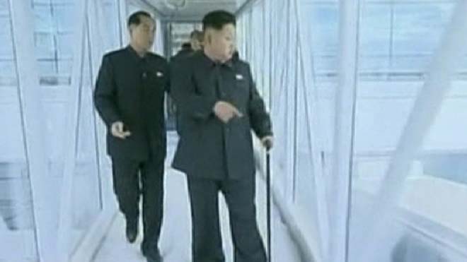 مدیر یک مزرعه پرورش لاک پشت ها در کوریای شمالی تیرباران شد