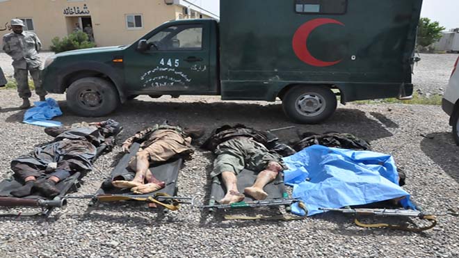 نه طالب مسلح در هرات کشته شدند