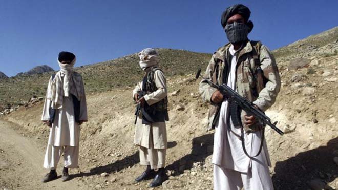 بیست طالب مسلح مشمول دو فرمانده آنها در ولایت هلمند کشته شدند