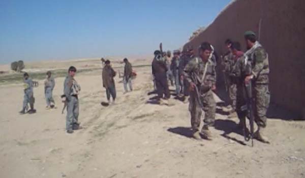 پنج هراس افگن در ولسوالی آلمار ولایت فاریاب، کشته شدند