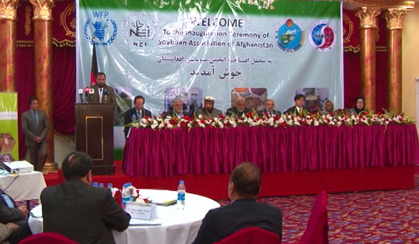 انجمن ملی نبات سویابین در کابل افتتاح شد