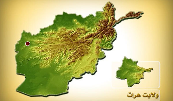 پنج طالب مسلح در ولایت هرات کشته شدند