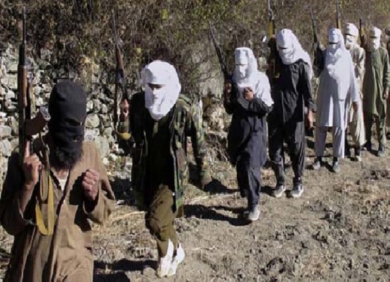 سی و پنج طالب مسلح در ولایت های غزنی و کنر کشته شدند