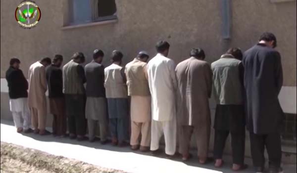 یک گروه ۷ نفری شبکه تروریستی حقانی در ولایت پکتیا بازداشت شدند
