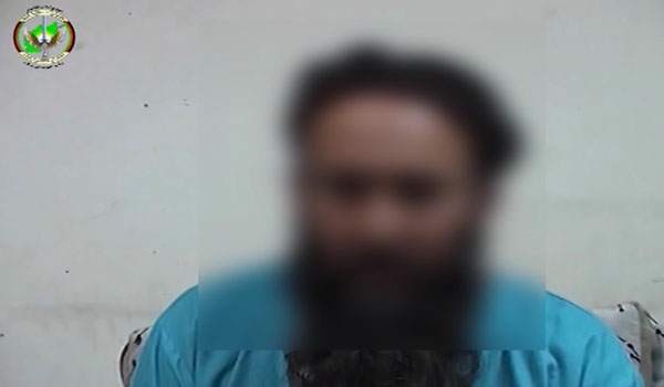 مسوول انتقال سلاح و جنگ افزار طالبان در ولایت پکتیکا بازداشت شد