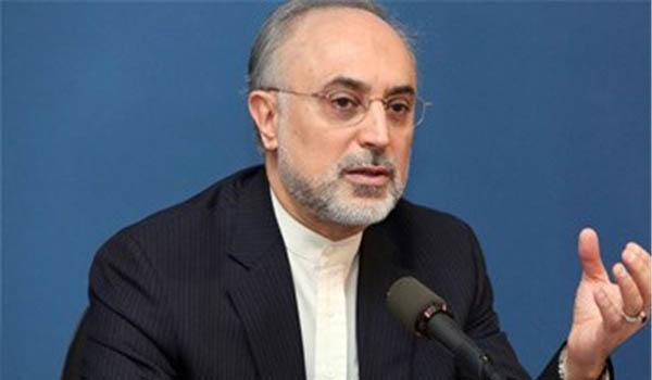صالحی: تهران نمی‎خواهد گواه پاره شدن توافقنامه هسته‎ای باشد