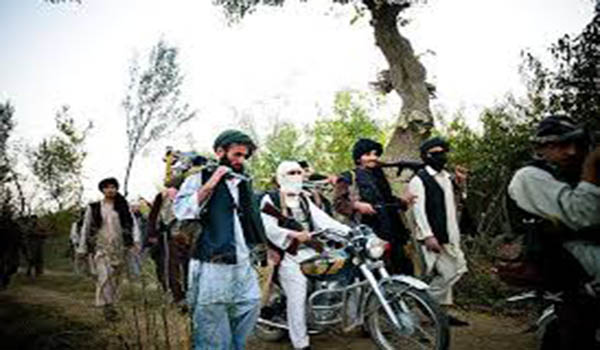 طی دو ماه گذشته در ولایت زابل تلفات سنگینی بر طالبان وارد شده است