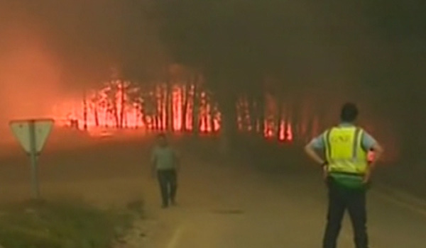 در جریان آتش سوزی گسترده در جنگل های مرکزی پرتگال ۴۶ تن جان باختند