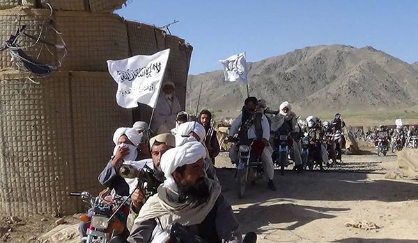 شش فرد وابسته به گروه طالبان در مربوطات ولایت میدان وردک کشته شده اند