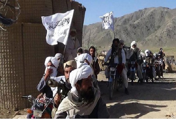 طالبان، تروریست یا مخالف سیاسی؟