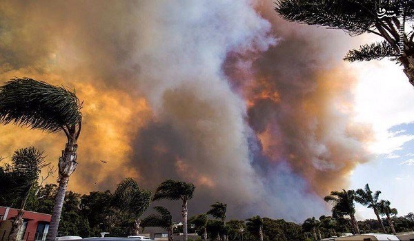 وقوع چهل آتش سوزی در استرالیا