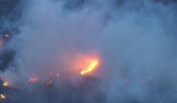 تعداد مفقود شدگان آتش سوزی کالیفرنیا به ۶۳۱ نفر افزایش یافت