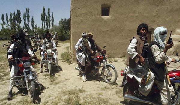 هفت فرد وابسته به گروه طالبان در ولایت زابل کشته شدند