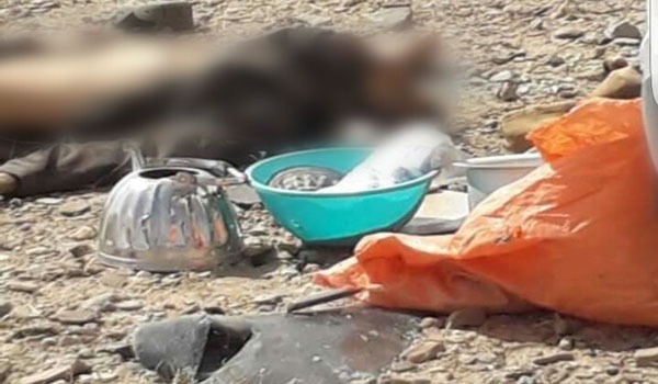 سخنگوی پلیس فراه: حدود دوصد طالب در این ولایت کشته و زخمی شدند