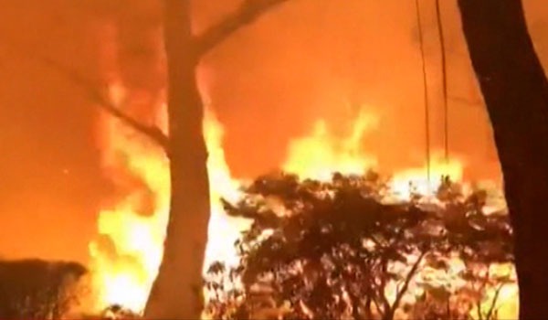 آتش ‌سوزی در استرالیا سطح ‌بی‌ سابقه‌ی از ویرانی برجا گذاشته است