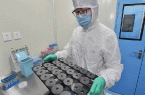 وزارت صحت: فردا پنج هزار کیت آزمایش ویروس کرونا به کشور می رسد