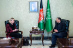 دیدار رییس جمعیت اسلامی افغانستان با معاون فرستاده ویژه سازمان ملل متحد