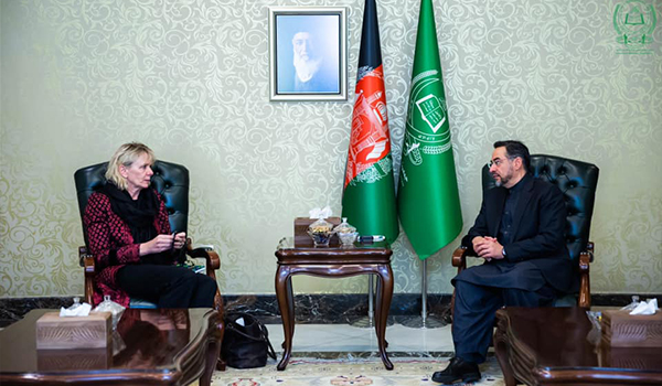 دیدار رییس جمعیت اسلامی افغانستان با معاون فرستاده ویژه سازمان ملل متحد