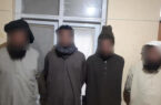 بازداشت هفت فرد کلیدی طالبان در پکتیا