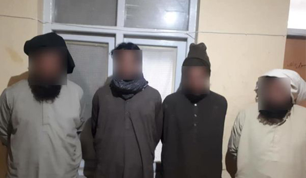 بازداشت هفت فرد کلیدی طالبان در پکتیا