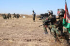 کشته شدن شماری از افراد وابسته به گروه طالبان در بخش‌های از کشور