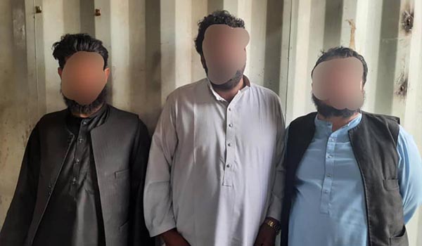 بازداشت سه فرد وابسته به گروه طالبان در پکتیکا