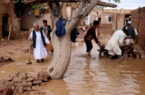 عظیمی: ۵۸ تن در نتیجه‌ی سیلاب در نورستان جان باخته‌اند