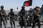 بیش از یک‌صد فرد وابسته به گروه طالبان در بیست وچهار ساعت گذشته کشته شدند