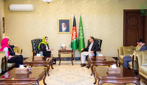 دیدار صلاح الدین ربانی با فرستاده ویژه دبیرکل سازمان ملل متحد برای افغانستان