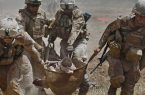 سیگار: ۱۱۴ هزار سرباز و غیرنظامی درجنگ۲۰ ساله‌ی امریکا در افغانستان کشته ‌شده‌اند