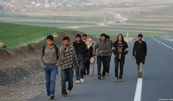 بازداشت ۱۴۹ پناه‌جو افغانستانی توسط نیروهای امنیتی ترکیه در مرز ایران با ترکیه