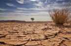 نگرانی اداره‌ی غذا و زراعت سازمان ملل از خشک‌سالی در افغانستان
