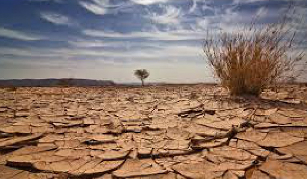 نگرانی اداره‌ی غذا و زراعت سازمان ملل از خشک‌سالی در افغانستان