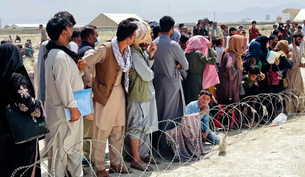 سازمان بین‌المللی مهاجرت: سال گذشته بیش از یک میلیون مهاجر افغانستان به کشورشان برگشتند