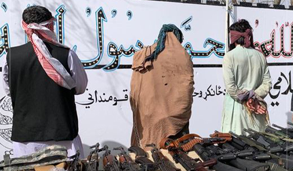 بازداشت سه تن در پیوند به قاچاق سلاح به پاکستان در پکتیکا