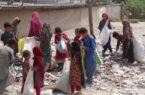 ملل متحد: مردم افغانستان با بحران عدم مصونیت غذایی و سوتغذیه روبه‌رو شده‌اند
