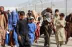 ادامه واکنش‌ها بر اخراج مهاجرین افغانستان از خاک پاکستان