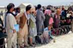 اطمینان سازمان بین‌المللی مهاجرت از حل مشکلات عودت کنندگان افغانستان