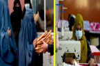 سازمان ملل: اقتصاد افغانستان به‌دلیل منع کار زنان، در حال بدتر شدن است