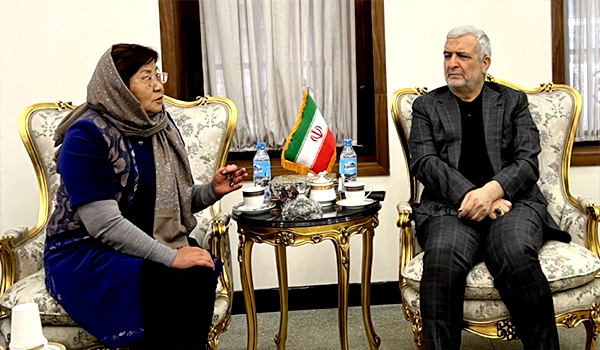 دیدار نماینده‌ی ویژه ایران و رئیس‌ یوناما در مورد همکاری مشترک در افغانستان