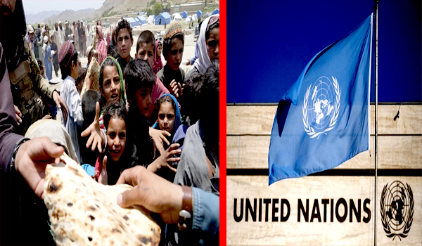 هشدار سازمان ملل متحد نسبت به افزایش نیازمندی مردم به کمک‌های بشری