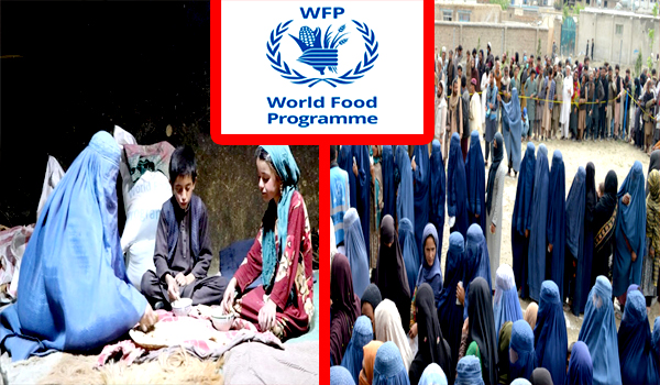 برنامه جهانی غذا: ۱۰ میلیون نفر در افغانستان از کمک‌های غذایی محروم شده‌اند