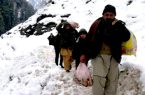 وزارت مبارزه با حوادث طبیعی: ۲۰ تن در پی برف‌باری‌های اخیر جان باخته‌اند