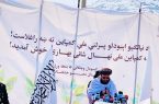 راه‌اندازی کارزار ملی نهال‌شانی بهاری در شهر کابل