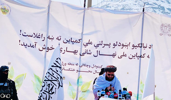 راه‌اندازی کارزار ملی نهال‌شانی بهاری در شهر کابل