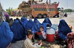 سازمان بین‌المللی مهاجرت: ۸۰ درصدر عودت‌کننده افغانستان از پاکستان زنان و کودکان اند