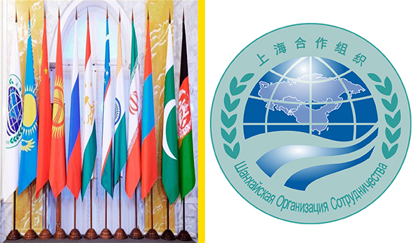 تأکید سازمان همکاری شانگهای بر پیکار با دهشت‌افگنان در افغانستان